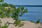 Dunes Beach sand dunes at Sandbanks Provincial Park