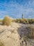 Dunes at the beach in warnemuende germany, lighthouse in the background