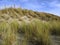 Dunes at Berck sur Mer in France.