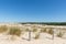 The dunes of Biscarrosse in France
