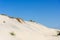 The dunes of Biscarrosse, France
