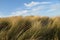 Dunes and blue sky abstract background