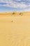 Dunes and colored sands of the Rub al-Khali desert