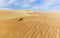 Dunes and colored sands of the Rub al-Khali desert