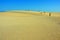 Dunes in Corralejo Natural Park