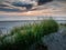 Dunes covered with grass