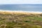 Dunes de Biville, nature reserve near Vasteville and Heauville, Cotentin, La Hague, English Channel, Normandy, France