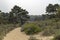 Dunes de Slack at Ambleteuse, in the Hauts-de-France region of France.