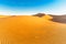 Dunes in the dessert of Morocco by M`hamid