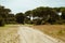 Dunes in the DoÃ±ana National Park, Andalusia, Spain