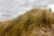 Dunes Egmond aan Zee, The Netherlands