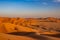 Dunes in the evening in the desert of Rub al Khali or Empty Quarter