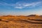 Dunes in the evening in the desert of Rub al Khali or Empty Quarter