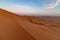 Dunes in the evening in the desert of Rub al Khali or Empty Quarter