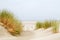 Dunes, grass, beach and sea