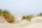 Dunes, grass, beach and sea