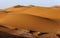 Dunes, Hamada du Draa, Morocco