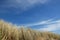 Dunes in holland