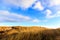 Dunes at Hvide Sande beach