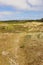 Dunes landscape Terschelling The Netherlands