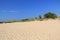 Dunes in Ludington State Park in Michigan