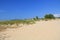Dunes in Ludington State Park in Michigan