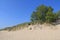 Dunes in Ludington State Park in Michigan