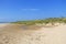 Dunes in Ludington State Park in Michigan