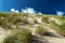 Dunes with marram gras at the Baltic Sea