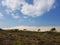 Dunes with marram grass and beach of nature reserve Netherlands