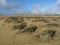 Dunes of Maspalomas. Gran Canaria Island. Spain.