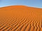 Dunes in the moroccan sahara desert