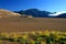 Dunes mountain clouds sunflowers