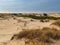 Dunes next to the ocean in DoÃ±ana national park in huelva, Andalusia, Spain