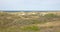 Dunes, North Sea and Waddensea coast of nature reserve on Ameland