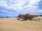 Dunes of Piscinas, the largest natural beach in Europe, Arbus, Sardinia, Italy