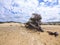 Dunes of Piscinas, the largest natural beach in Europe, Arbus, Sardinia, Italy