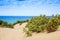 Dunes of Piscinas in Sardinia, Italy