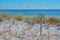 Dunes Restoration, Keep off Dunes Sign on the beach of Gulf of Mexico in Destin, Florida