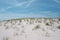 Dunes at Robert Moses State Park