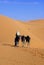 Dunes of Sahara and camel ride