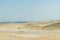 Dunes of sahara Desert and camels