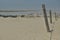 Dunes. Sand in the desert. Slowinski National Park