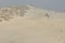 Dunes. Sand in the desert. Slowinski National Park