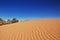 Dunes of sand in Sahara desert, Algeria, Africa