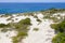 Dunes, vegetation and ocean in Arrifana