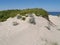 Dunes of Vistula Spit