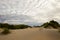 Dunes in Westland
