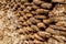 Dung, cow droppings briquettes stacked to dry on a summer sunny day