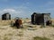 Dungeness beach with boats, Kent.